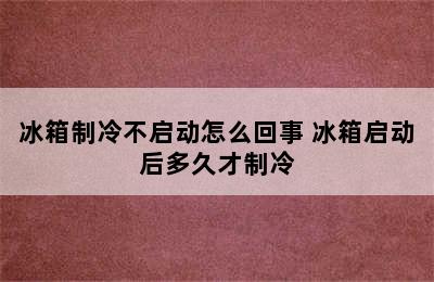 冰箱制冷不启动怎么回事 冰箱启动后多久才制冷